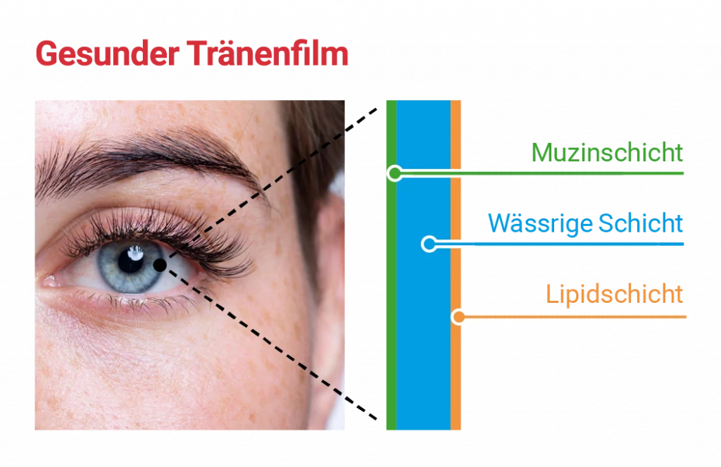 Brillen Stober Geschäft Weiden Optiker Weiden Beratung Augenoptiker Brillen Stober Team Brillenberatung in Weiden